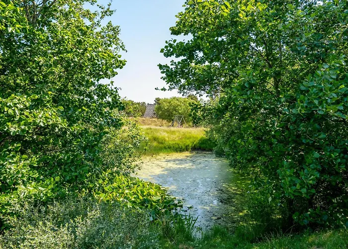 Amazing In With Sauna * Fanø